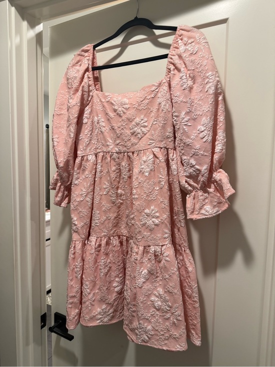 entro Dresses & Skirts - entro Blush Pink Embroidered Mini Dress